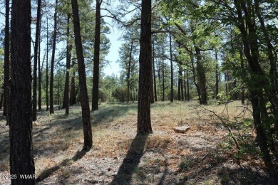Currently the best lot in Torreon Lakes.  Nice, level, heavily on Torreon Golf Club in Arizona - for sale on GolfHomes.com, golf home, golf lot