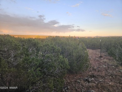 Great Views! This 1.25 acre lot is located in White Mountain on Silver Creek Golf Club in Arizona - for sale on GolfHomes.com, golf home, golf lot