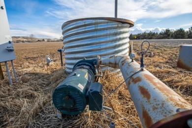 If you are looking to build your dream home and live a tranquil on Scotch Pines Golf Course in Idaho - for sale on GolfHomes.com, golf home, golf lot