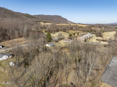 Explore this captivating lot along Buffalo Creek, an ideal site on Buffalo Valley Golf Course in Tennessee - for sale on GolfHomes.com, golf home, golf lot