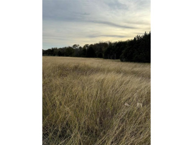 Perfect lot for anyone with horses. Almost 2 acres located in on White Bluff Resort - Old Course in Texas - for sale on GolfHomes.com, golf home, golf lot