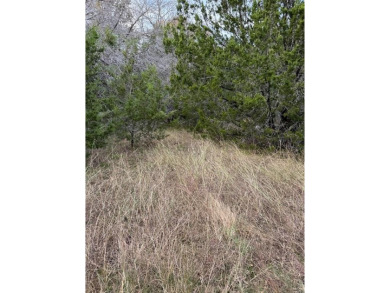 Perfect lot for anyone with horses. Almost 2 acres located in on White Bluff Resort - Old Course in Texas - for sale on GolfHomes.com, golf home, golf lot