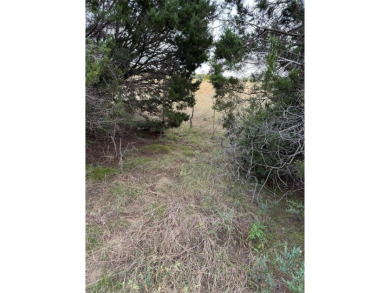 Perfect lot for anyone with horses. Almost 2 acres located in on White Bluff Resort - Old Course in Texas - for sale on GolfHomes.com, golf home, golf lot