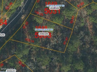 This beautiful lot is located in the prestigious North Village on Forest Creek Golf Club  in North Carolina - for sale on GolfHomes.com, golf home, golf lot