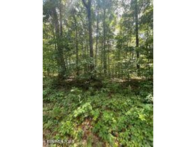 Nice possible buildable lot in the Ottawa subdivision with on Lake Tansi Village Country Club in Tennessee - for sale on GolfHomes.com, golf home, golf lot