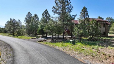 Chase K Girard, Ponderosa Real Estate The Source For Real Estate on The Divide Ranch and Club in Colorado - for sale on GolfHomes.com, golf home, golf lot
