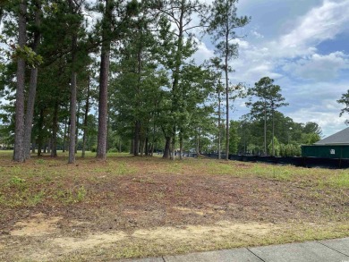 Prime location on the water.  One of the last lots left in this on Heron Point Golf Club in South Carolina - for sale on GolfHomes.com, golf home, golf lot