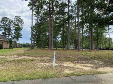 Prime location on the water.  One of the last lots left in this on Heron Point Golf Club in South Carolina - for sale on GolfHomes.com, golf home, golf lot