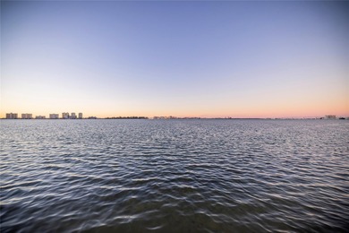 The most vivid impression one has upon entering this condo is on Belleair Country Club in Florida - for sale on GolfHomes.com, golf home, golf lot