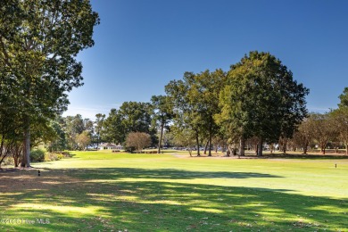 Gorgeous 3 bedroom 2.5 bath home, plus a large bonus room, and on Sound Golf Links at Albemarle Plantation in North Carolina - for sale on GolfHomes.com, golf home, golf lot