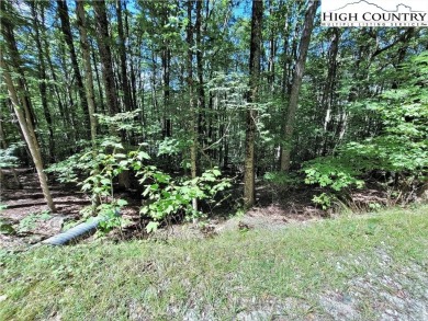 Quiet, yet close to Club amenities, Buckeye Recreation Area and on Beech Mountain Club in North Carolina - for sale on GolfHomes.com, golf home, golf lot