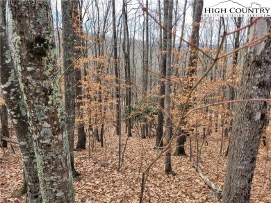 Quiet, yet close to Club amenities, Buckeye Recreation Area and on Beech Mountain Club in North Carolina - for sale on GolfHomes.com, golf home, golf lot