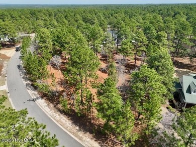 Luxury Custom Home in Forest Creek Golf Club! This stunning on Forest Creek Golf Club  in North Carolina - for sale on GolfHomes.com, golf home, golf lot