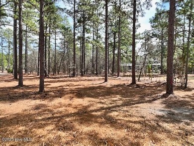 Luxury Custom Home in Forest Creek Golf Club! This stunning on Forest Creek Golf Club  in North Carolina - for sale on GolfHomes.com, golf home, golf lot