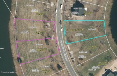 Attention investors and builders: Take advantage of this package on River Landing Golf Course in North Carolina - for sale on GolfHomes.com, golf home, golf lot