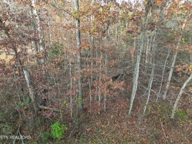 Nice possible buildable lot in the Cree subdivision with Natural on Lake Tansi Village Country Club in Tennessee - for sale on GolfHomes.com, golf home, golf lot