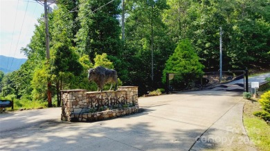 MOUNTAIN VIEWS GALORE on Lots 20 & 21 with 3+ Acres in Tatanka on Rumbling Bald Resort on Lake Lure in North Carolina - for sale on GolfHomes.com, golf home, golf lot
