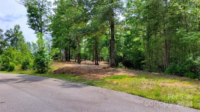 MOUNTAIN VIEWS GALORE on Lots 20 & 21 with 3+ Acres in Tatanka on Rumbling Bald Resort on Lake Lure in North Carolina - for sale on GolfHomes.com, golf home, golf lot