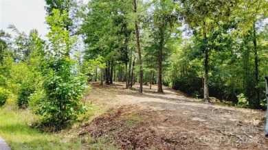 MOUNTAIN VIEWS GALORE on Lots 20 & 21 with 3+ Acres in Tatanka on Rumbling Bald Resort on Lake Lure in North Carolina - for sale on GolfHomes.com, golf home, golf lot