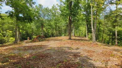 MOUNTAIN VIEWS GALORE on Lots 20 & 21 with 3+ Acres in Tatanka on Rumbling Bald Resort on Lake Lure in North Carolina - for sale on GolfHomes.com, golf home, golf lot