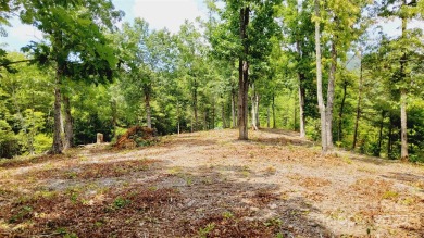 MOUNTAIN VIEWS GALORE on Lots 20 & 21 with 3+ Acres in Tatanka on Rumbling Bald Resort on Lake Lure in North Carolina - for sale on GolfHomes.com, golf home, golf lot