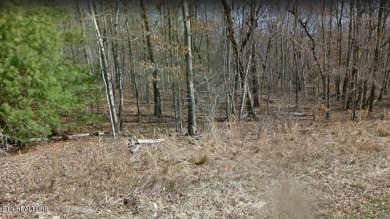 Nice possible buildable lot in the Crow subdivision with Natural on Lake Tansi Village Country Club in Tennessee - for sale on GolfHomes.com, golf home, golf lot