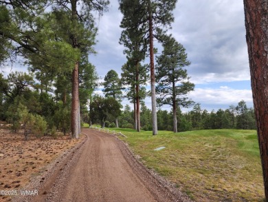 Incredible rare opportunity for a golf course lot in the on Torreon Golf Club in Arizona - for sale on GolfHomes.com, golf home, golf lot