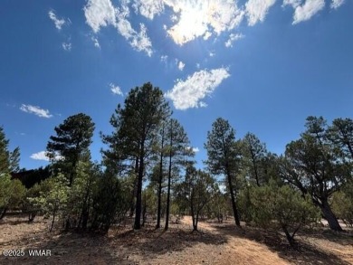 Incredible rare opportunity for a golf course lot in the on Torreon Golf Club in Arizona - for sale on GolfHomes.com, golf home, golf lot