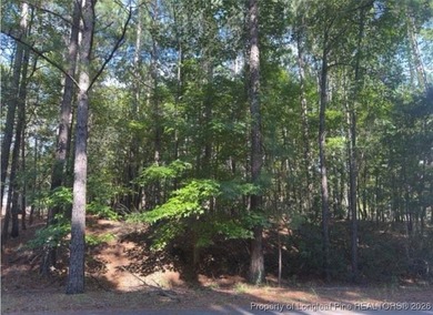 Welcome to this .5 acres lot in Carolina Lakes, a sought-after on Carolina Lakes Country Club in North Carolina - for sale on GolfHomes.com, golf home, golf lot