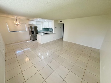 Move in Ready, Remodeled Palm Harbor Condo - Modern Coastal on Innisbrook Resort and Golf Club in Florida - for sale on GolfHomes.com, golf home, golf lot