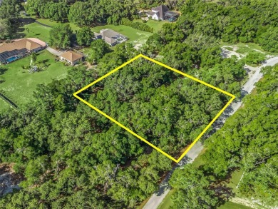 This beautiful 1-acre vacant lot offers an excellent opportunity on Inverness Golf and Country Club in Florida - for sale on GolfHomes.com, golf home, golf lot