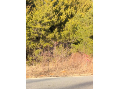 Welcome to Rock Creek Resort, with everything you could ever on Rock Creek Golf Club in Texas - for sale on GolfHomes.com, golf home, golf lot