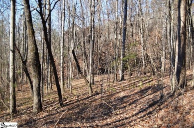 Beautiful building lot located in The Cliffs at Mountain Park on The Cliffs at Mountain Park  in South Carolina - for sale on GolfHomes.com, golf home, golf lot