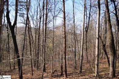 Beautiful building lot located in The Cliffs at Mountain Park on The Cliffs at Mountain Park  in South Carolina - for sale on GolfHomes.com, golf home, golf lot