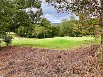 Nestled in the mountains just minutes from Greenville, SC, make on The Cliffs Valley Golf Course in South Carolina - for sale on GolfHomes.com, golf home, golf lot