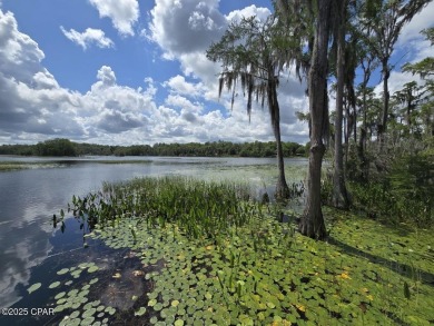 Discover the best deal in Sunny Hills with this oversized 0 on Sunny Hills Golf and Country Club in Florida - for sale on GolfHomes.com, golf home, golf lot