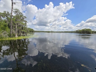 Discover the best deal in Sunny Hills with this oversized 0 on Sunny Hills Golf and Country Club in Florida - for sale on GolfHomes.com, golf home, golf lot