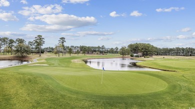 NEW LARGE PRICE IMPROEMENT!!!  Golfer's Paradise! Live at World on World Tour Golf Links in South Carolina - for sale on GolfHomes.com, golf home, golf lot