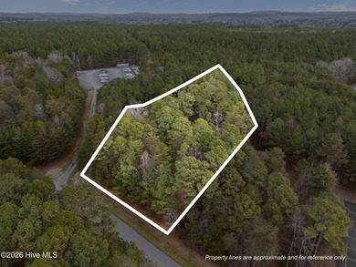 *APPROVED 4 BEDROOM SEPTIC PERMIT* Enjoy this large over 1 acre on Old North State Club at Uwharrie Point Golf community in North Carolina - for sale on GolfHomes.com, golf home, golf lot