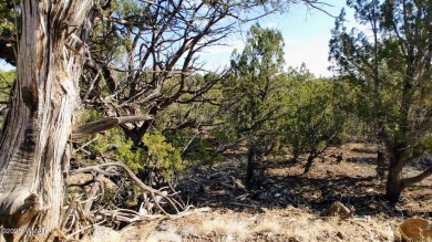 Build your dream property on this desirable Cul-De-Sac lot that on Silver Creek Golf Club in Arizona - for sale on GolfHomes.com, golf home, golf lot