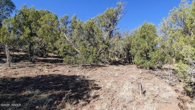 Build your dream property on this desirable Cul-De-Sac lot that on Silver Creek Golf Club in Arizona - for sale on GolfHomes.com, golf home, golf lot