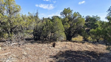 Build your dream property on this desirable Cul-De-Sac lot that on Silver Creek Golf Club in Arizona - for sale on GolfHomes.com, golf home, golf lot