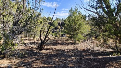 Build your dream property on this desirable Cul-De-Sac lot that on Silver Creek Golf Club in Arizona - for sale on GolfHomes.com, golf home, golf lot
