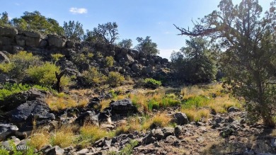 Build your dream property on this desirable Cul-De-Sac lot that on Silver Creek Golf Club in Arizona - for sale on GolfHomes.com, golf home, golf lot