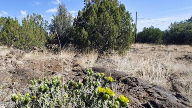 Build your dream property on this desirable Cul-De-Sac lot that on Silver Creek Golf Club in Arizona - for sale on GolfHomes.com, golf home, golf lot