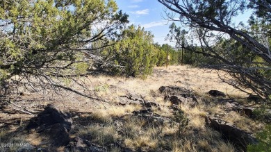 Build your dream property on this desirable Cul-De-Sac lot that on Silver Creek Golf Club in Arizona - for sale on GolfHomes.com, golf home, golf lot