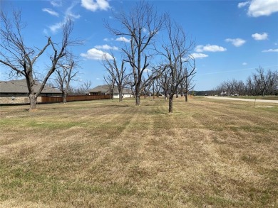 Spacious Corner Lot in the Heart of The Orchards at Pecan on Pecan Plantation Country Club in Texas - for sale on GolfHomes.com, golf home, golf lot