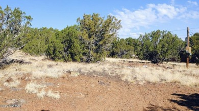 Build your dream property on this desirable Cul-De-Sac lot that on Silver Creek Golf Club in Arizona - for sale on GolfHomes.com, golf home, golf lot