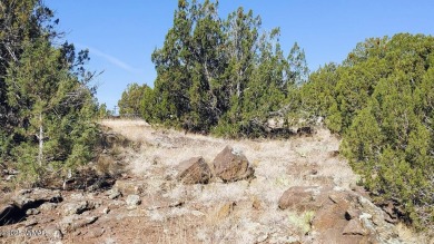 Build your dream property on this desirable Cul-De-Sac lot that on Silver Creek Golf Club in Arizona - for sale on GolfHomes.com, golf home, golf lot