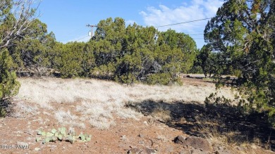 Build your dream property on this desirable Cul-De-Sac lot that on Silver Creek Golf Club in Arizona - for sale on GolfHomes.com, golf home, golf lot